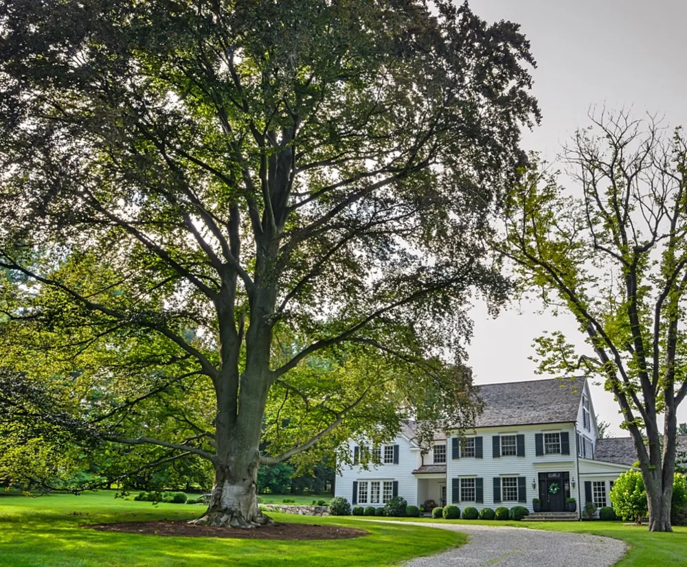 Modern Farmhouse