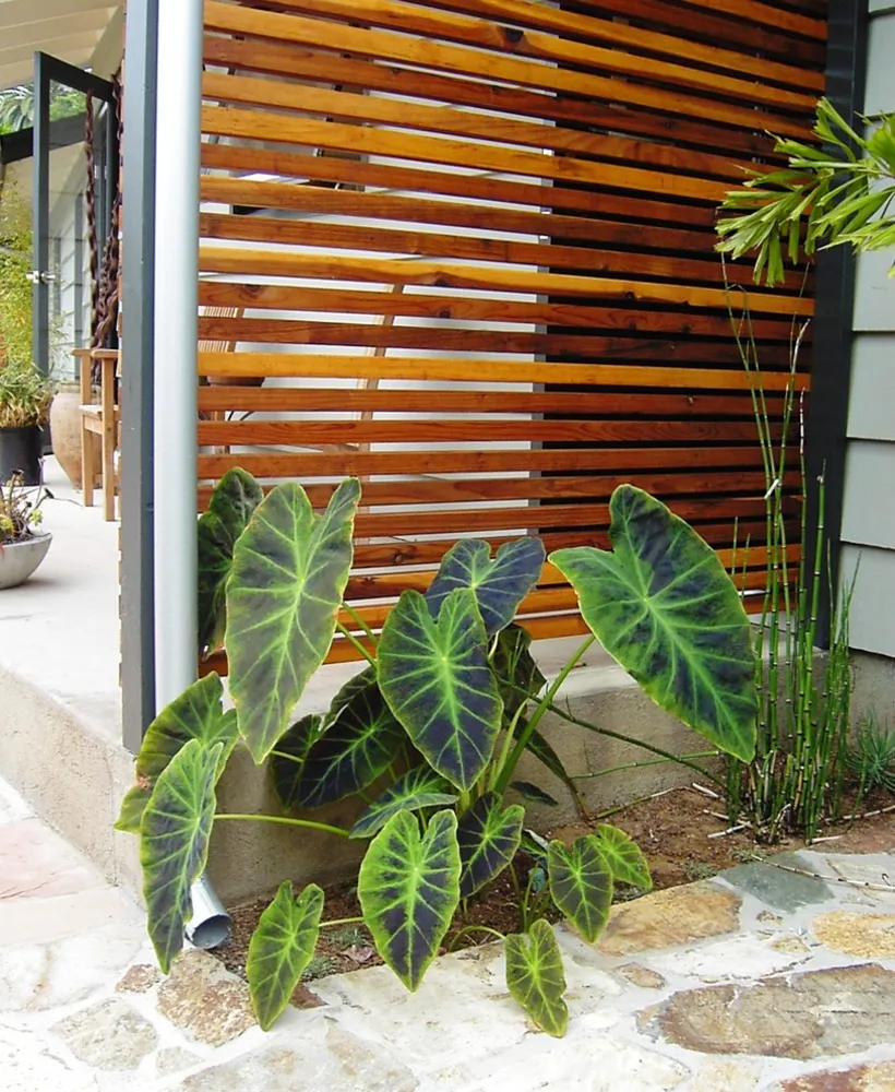 debora carl landskapsdesign