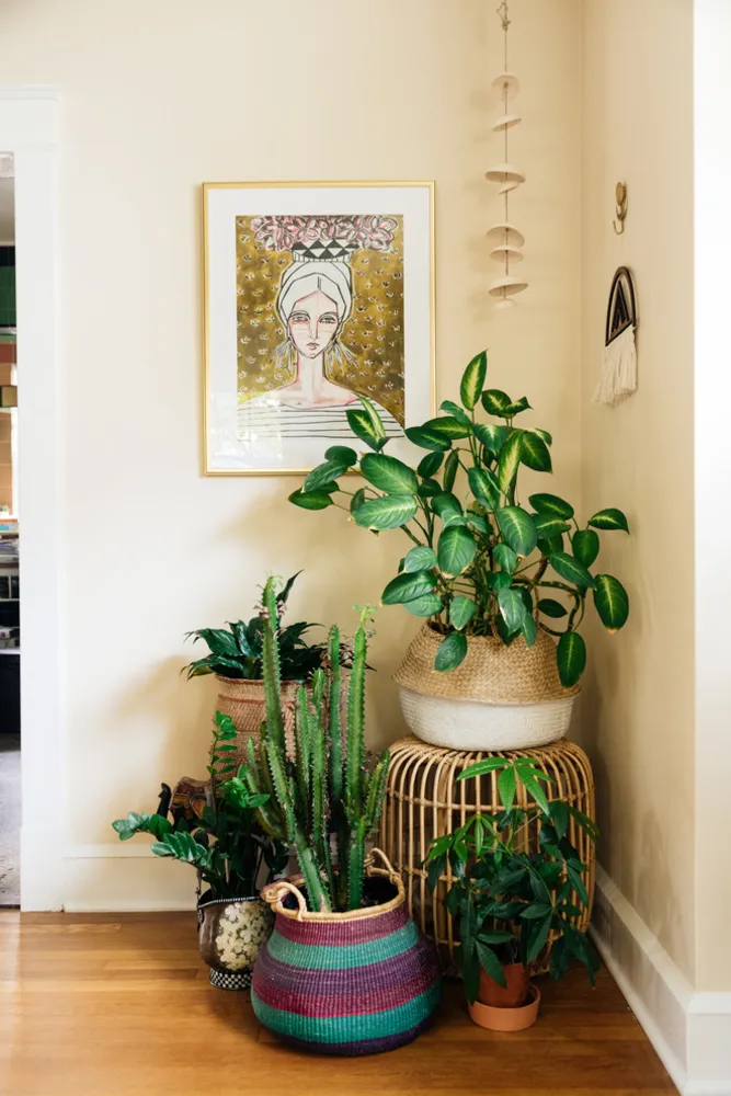 My Servista: pianta d'appartamento felice in una casa D.C. in stile Boho