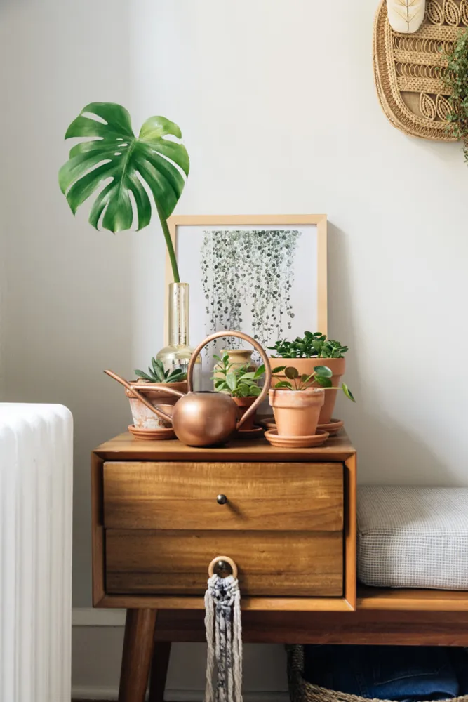 My Servista: pianta d'appartamento felice in una casa D.C. in stile Boho