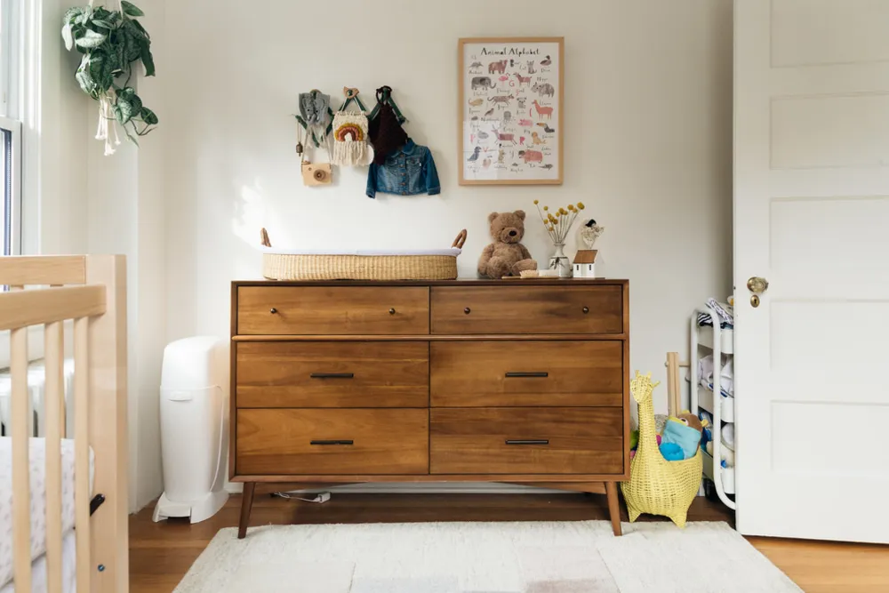 My Servista: pianta d'appartamento felice in una casa D.C. in stile Boho