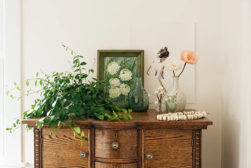 My Servista: pianta d'appartamento felice in una casa D.C. in stile Boho