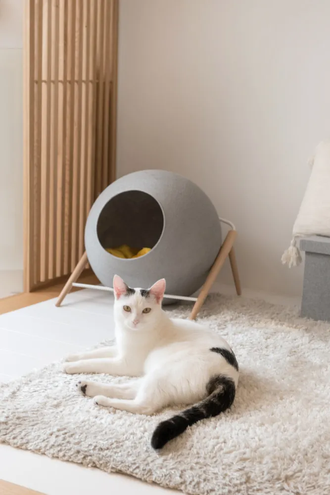 UN STUDIO COCOONING – Rénovation d’une petite surface/mobiliers sur-mesure