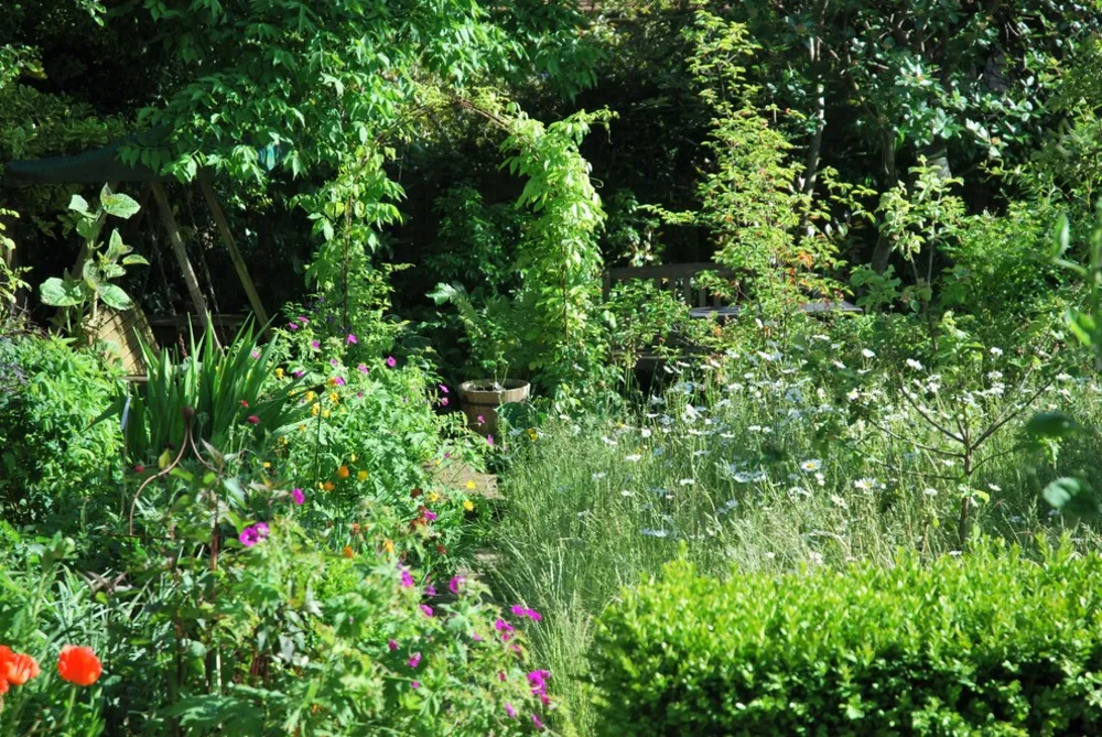 1-2-1 HAVEDESIGN | LEWES | MULIGHED TO