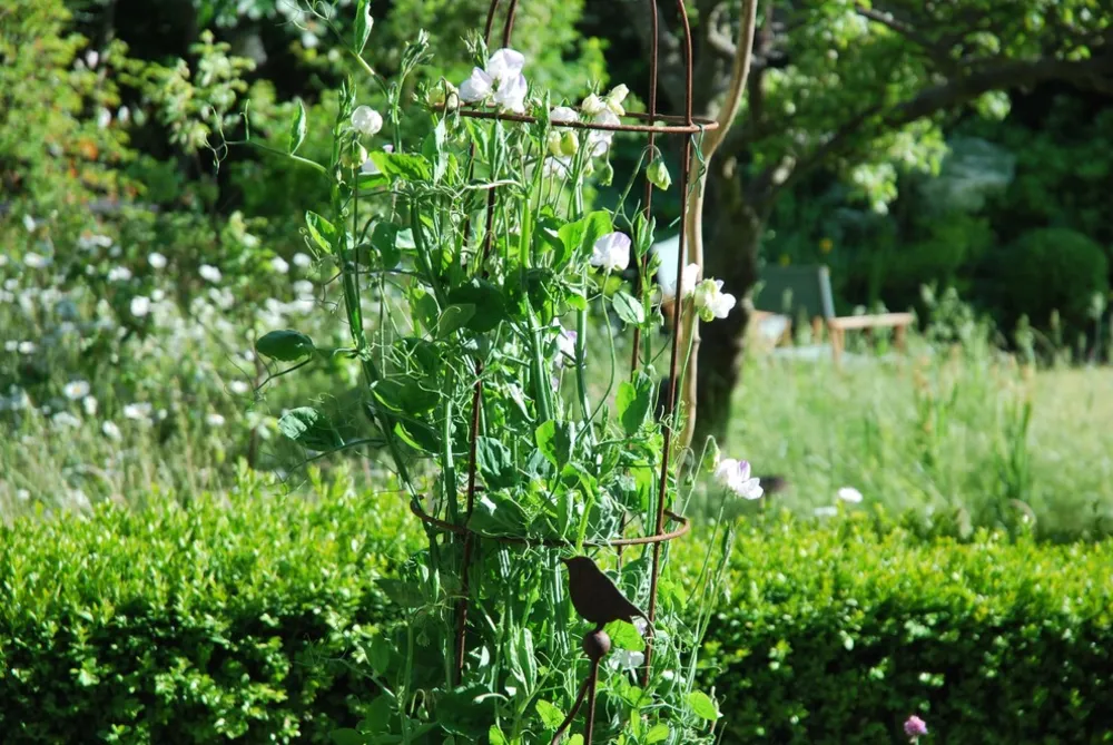 1-2-1 HAVEDESIGN | LEWES | MULIGHED TO