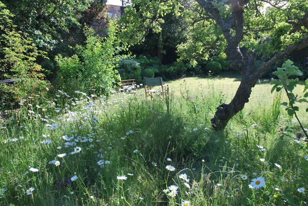 1-2-1 HAVEDESIGN | LEWES | MULIGHED TO