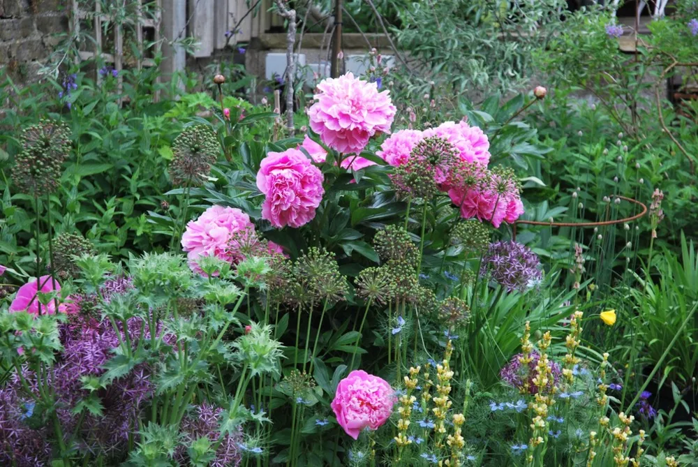 1-2-1 HAVEDESIGN | LEWES | MULIGHED TO