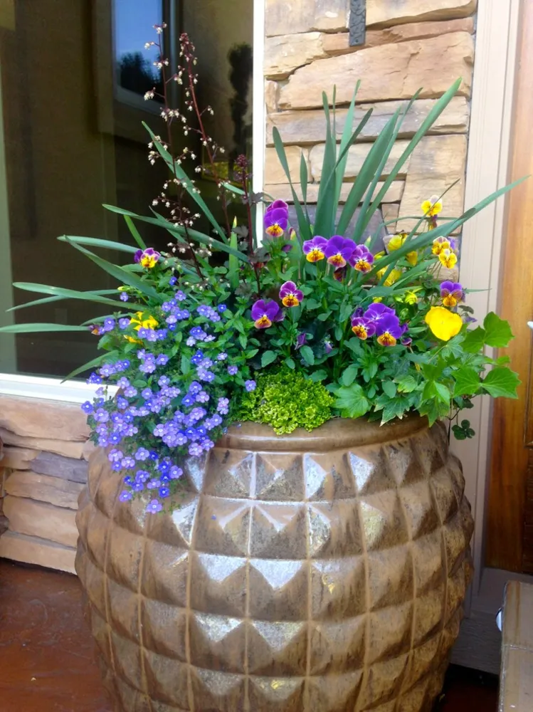 Vårplantering av behållare