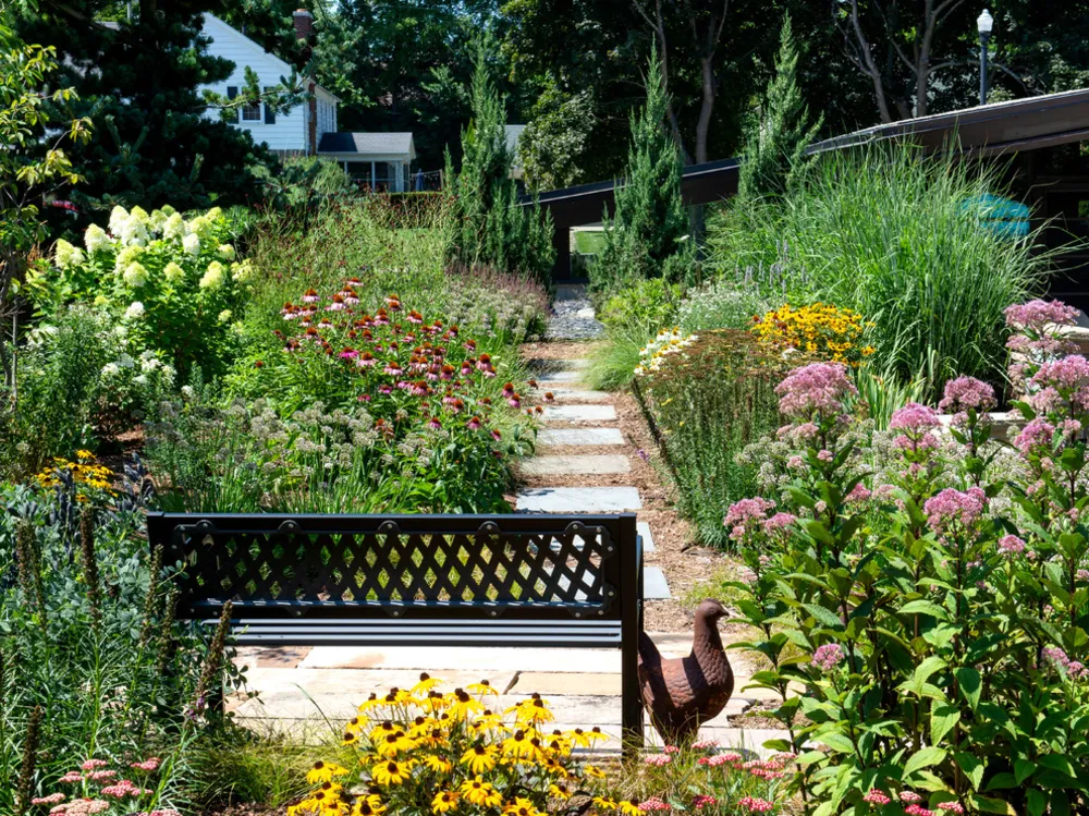 Jardín perenne y sendero de mediados de siglo - Racine