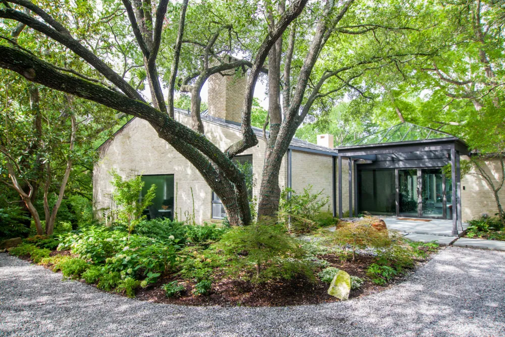 Modern Woodland