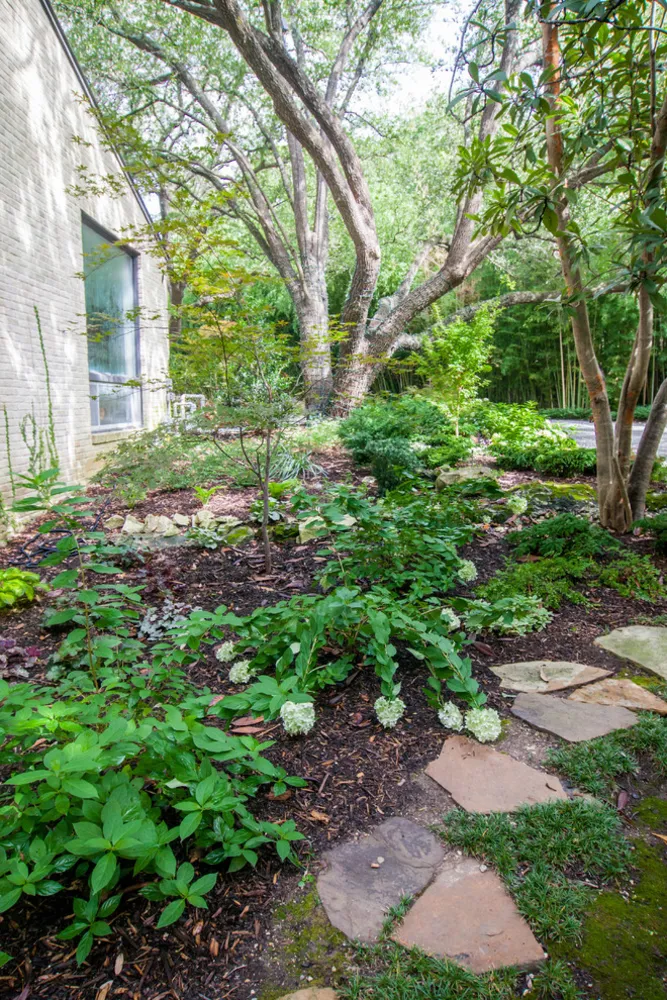 Modern Woodland