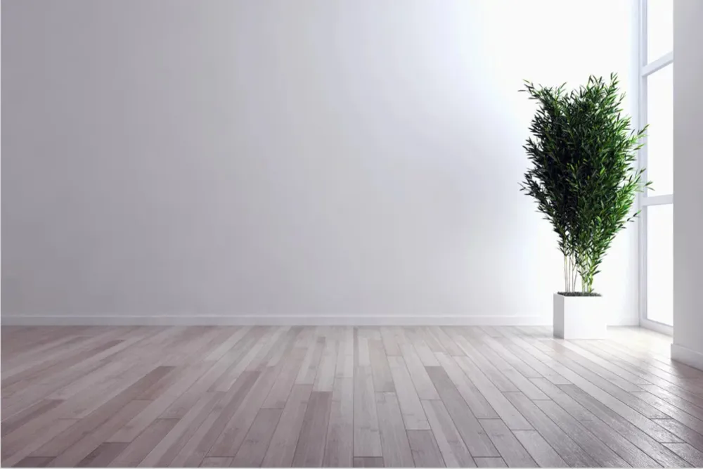 Ekstremalny minimalizm to nowy trend 