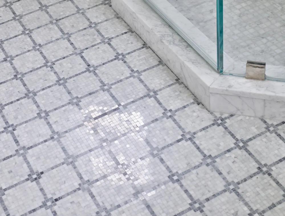 Eski Bir Dünya Bulmacası