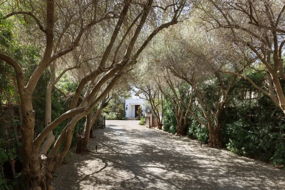 Pozemek v jižní Kalifornii