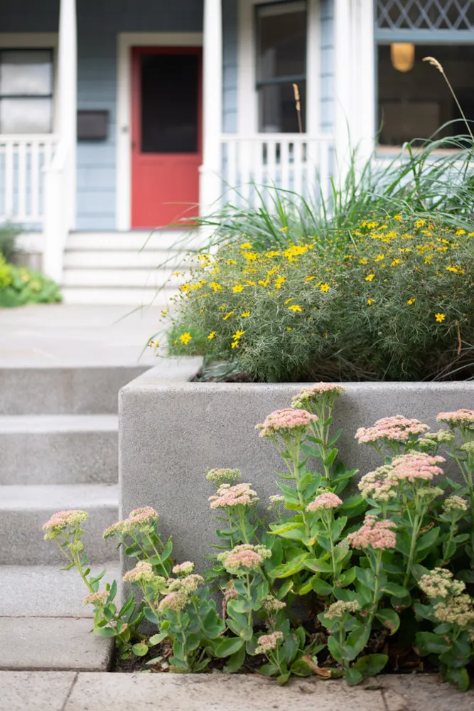 Giardino commestibile del distretto centrale