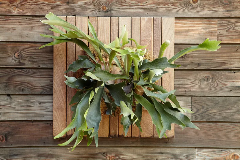 установка в магазине