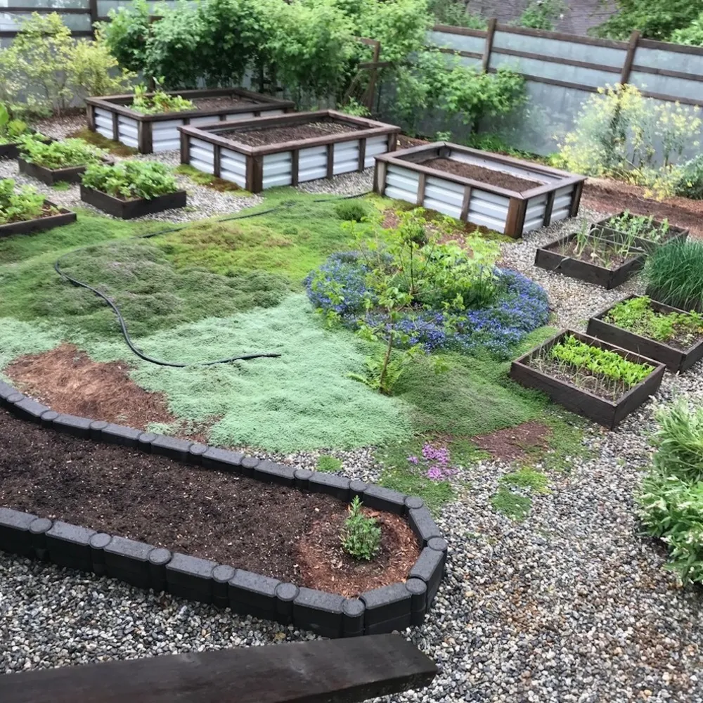 Edible Garden Follow Up Shell