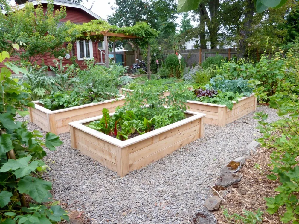 Urban Food Forest