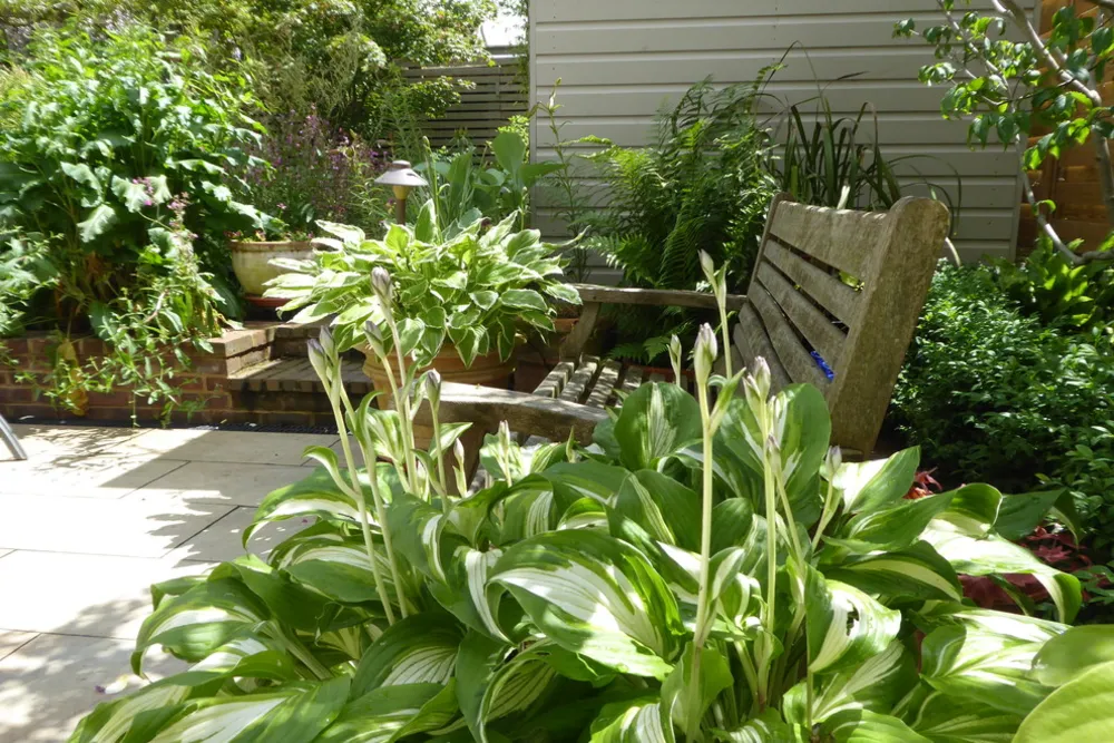 Mały miejski ogród bez trawnika