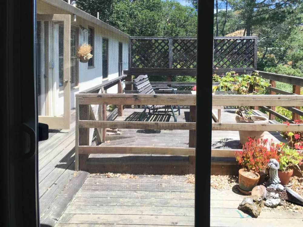 Яркая реконструкция Северной Калифорнии