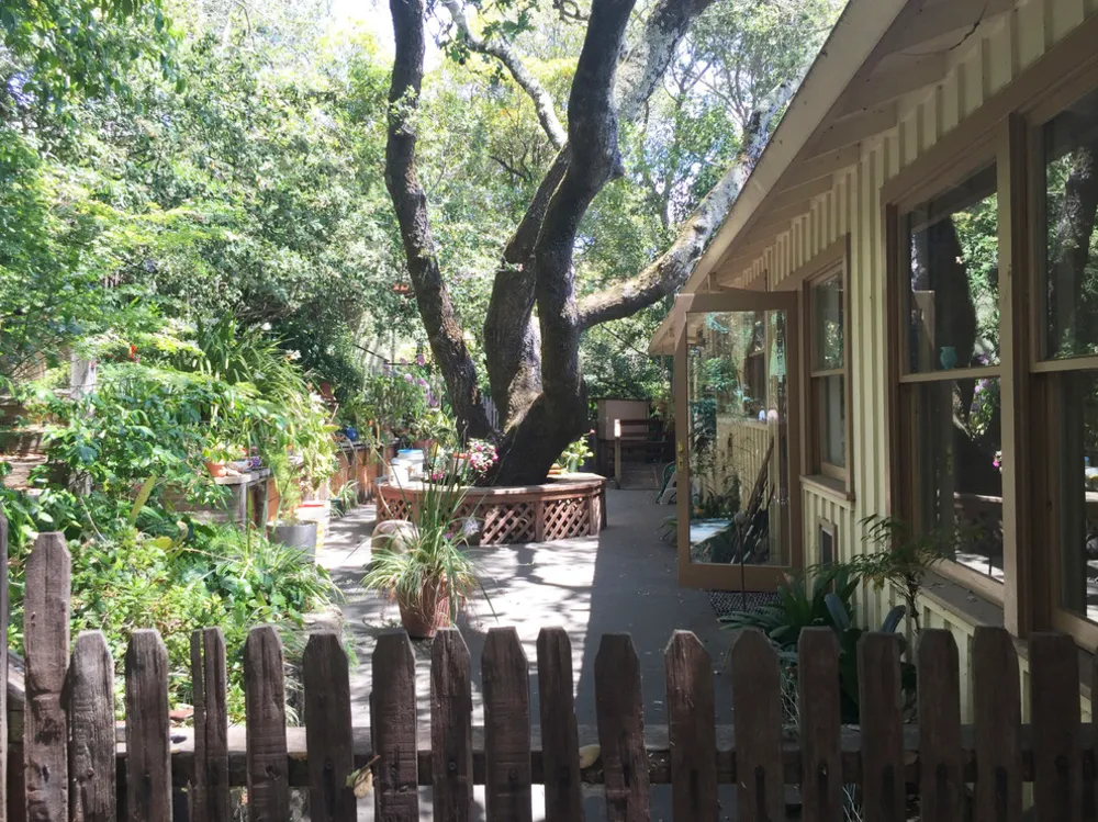 Яркая реконструкция Северной Калифорнии