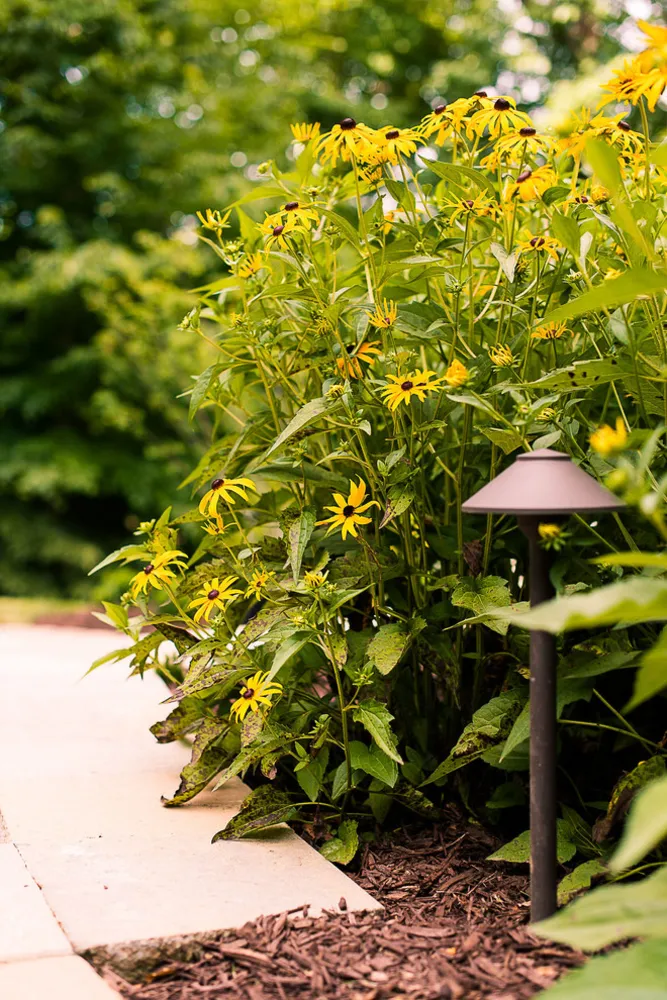 Механіксвілльський макіяж на схилі пагорба