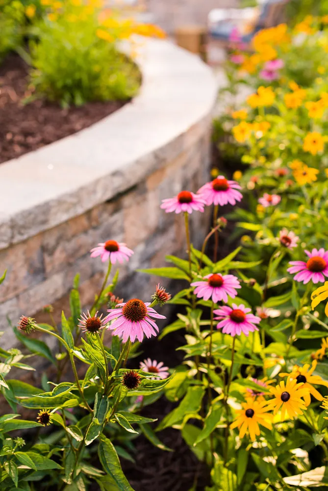 Перетворення на пагорбі Mechanicsville