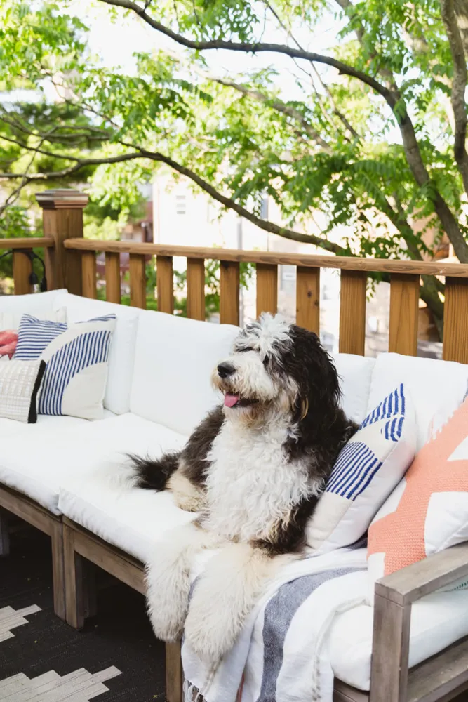 My Servista: Par sætter et personligt præg på deres lejlighed i Chicago