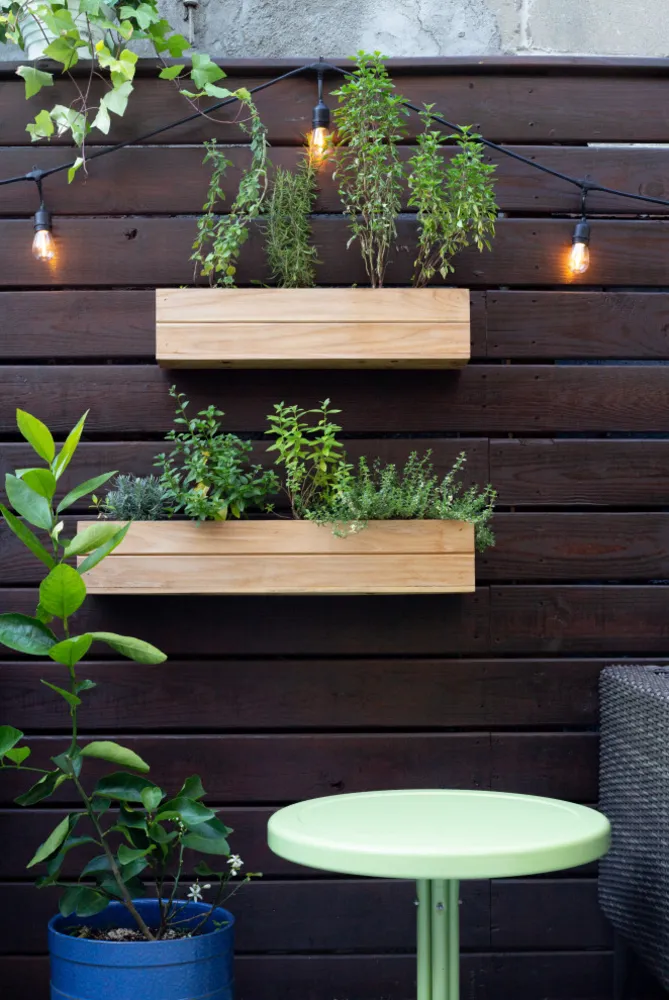 Brooklyn Backyard pasuje do fiesty