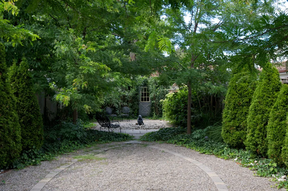 Oval Garden - The Junction Toronto