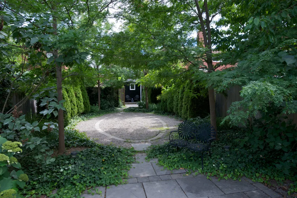 Oval Garden - The Junction Toronto