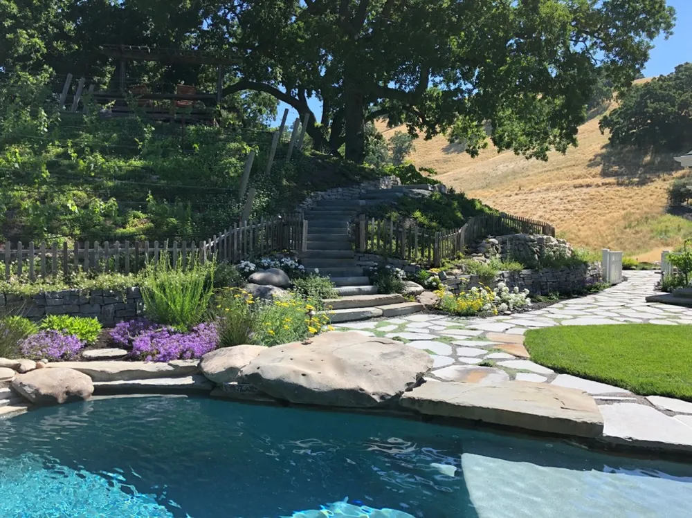 Danville hillside