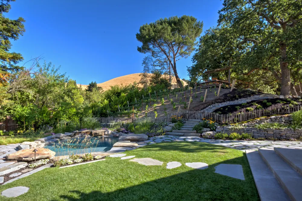 Danville hillside
