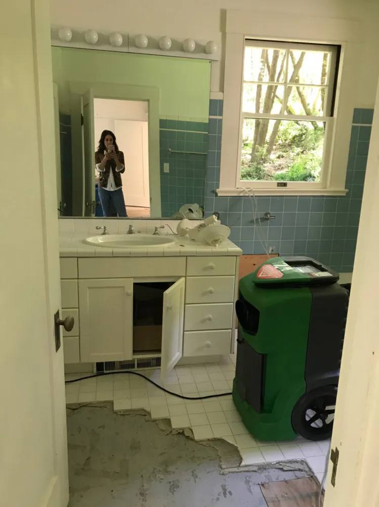 Un vittoriano californiano mescola funzionalità moderna con stile vintage