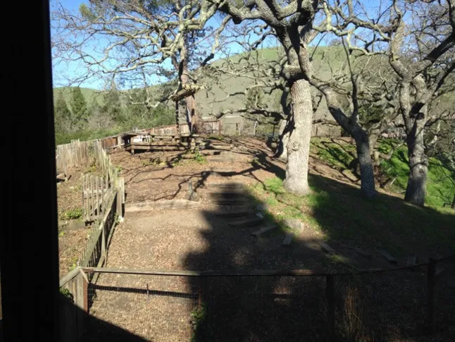 Servista Tour: Danville Hillside-tuin