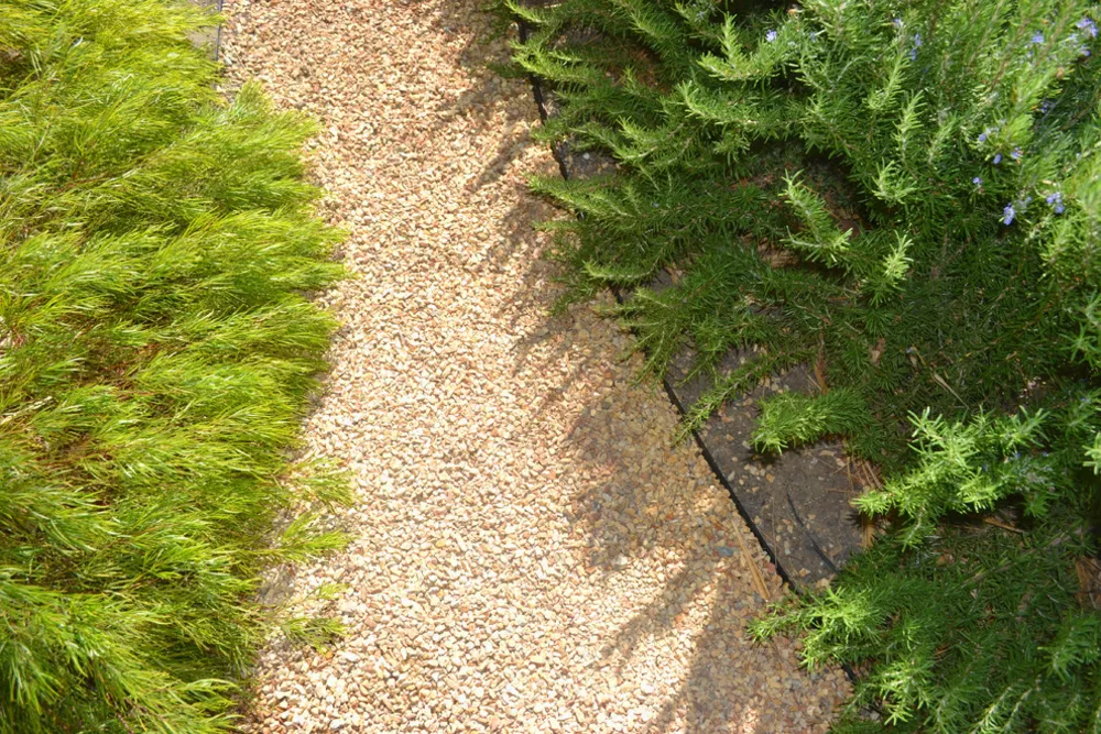 Santa Barbara Modern Ranch