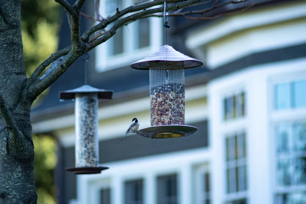 Wayland Meadow Overlook