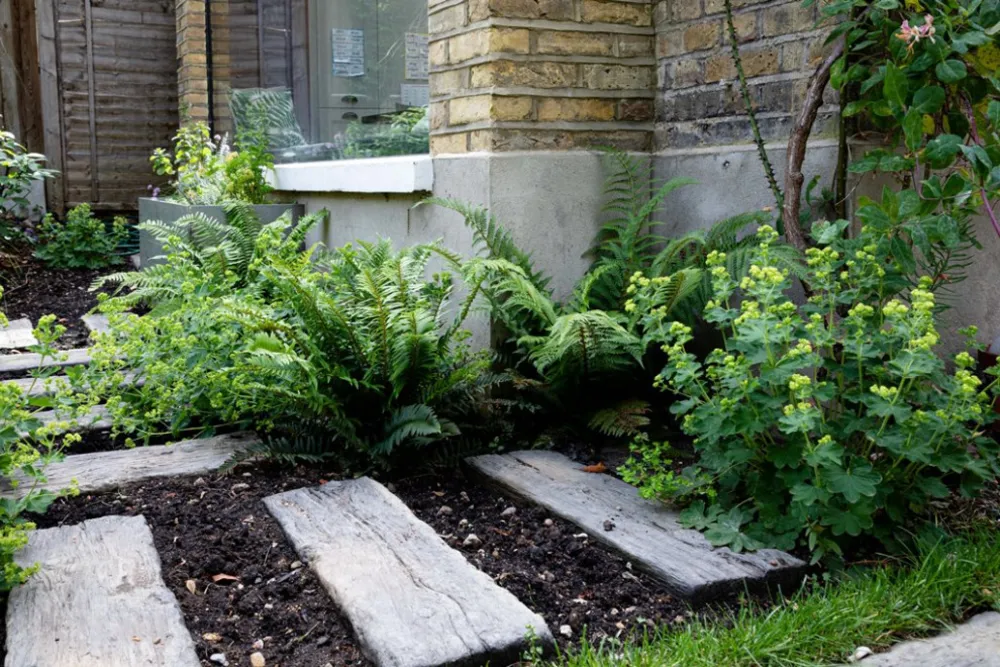 West Norwood Family Garden