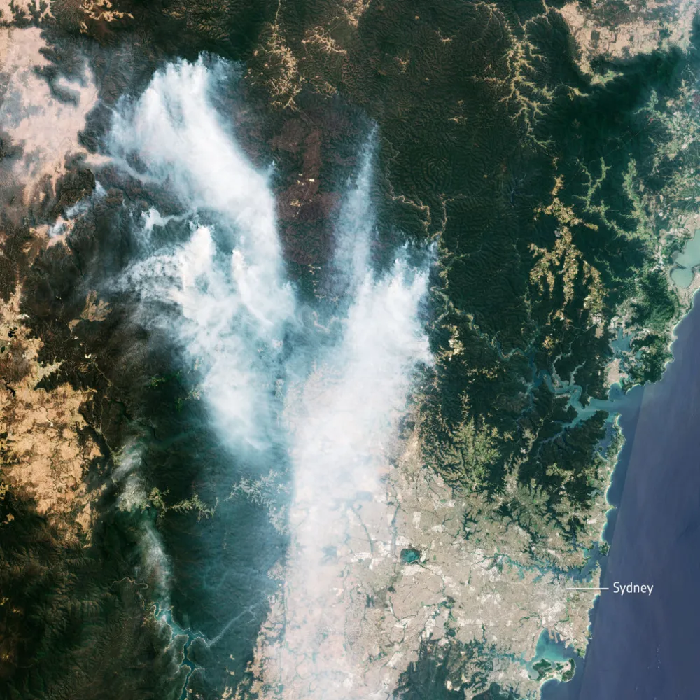 Aiuta le vittime degli incendi boschivi in Australia