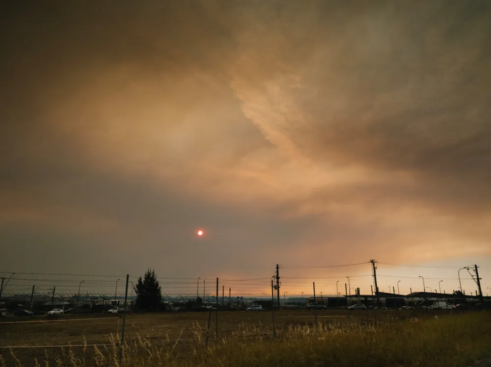 Помогите жертвам лесных пожаров в Австралии