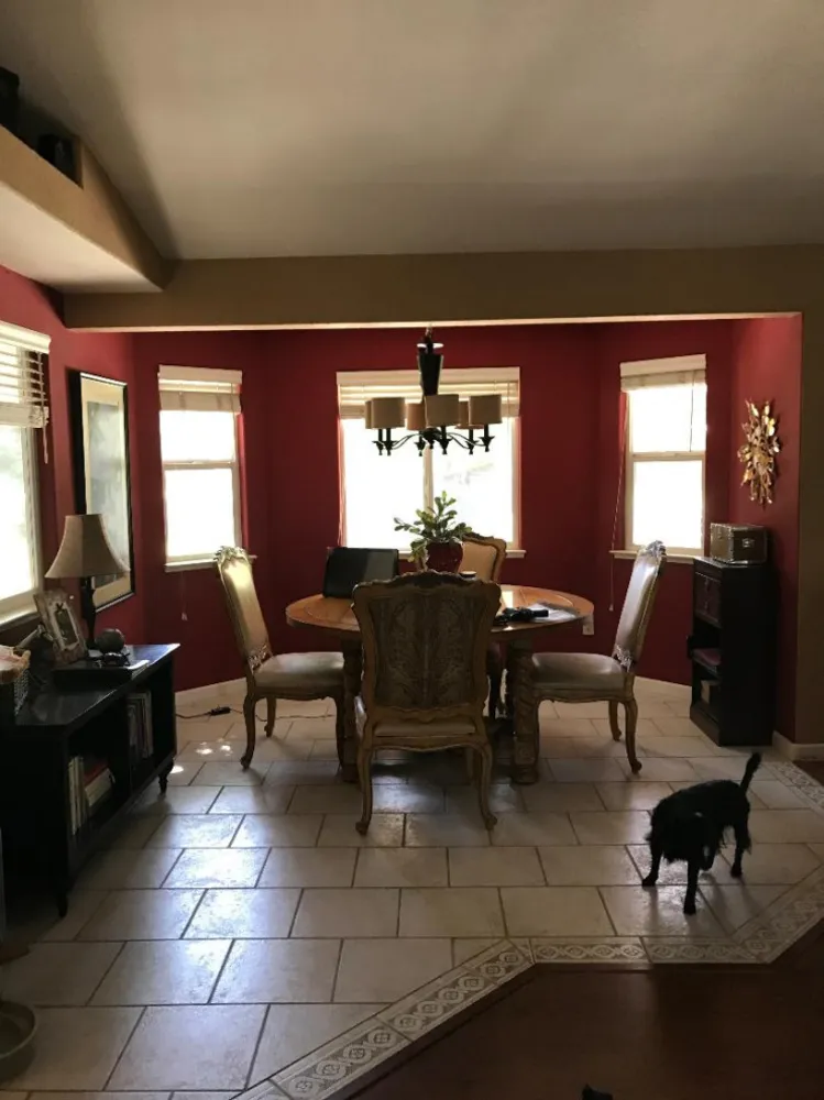 Cucina della settimana: uno spazio californiano amico dei cani con calore