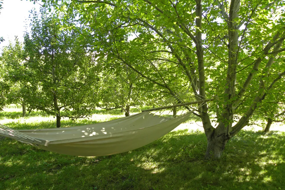 Richland, OR: Robert ve Linda