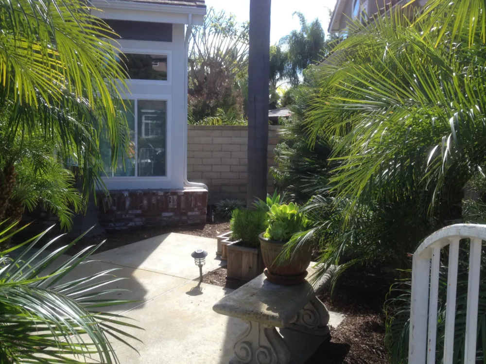 Dana Noktası Çağdaş