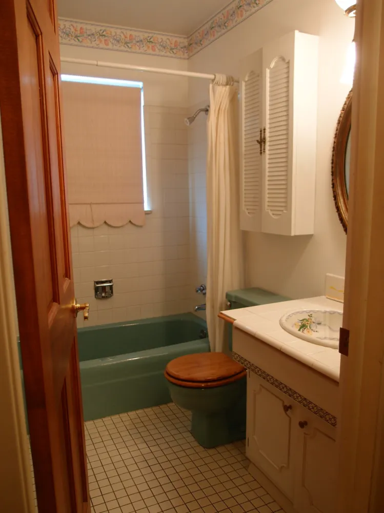 Master Bath Before