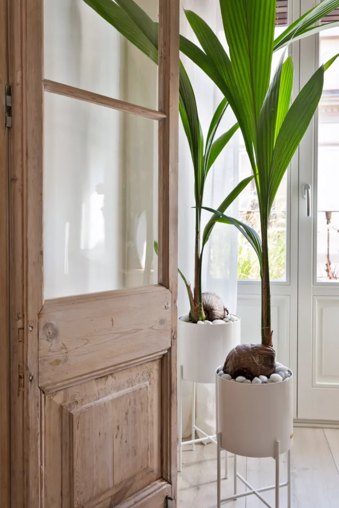 Piso coqueto en el Raval