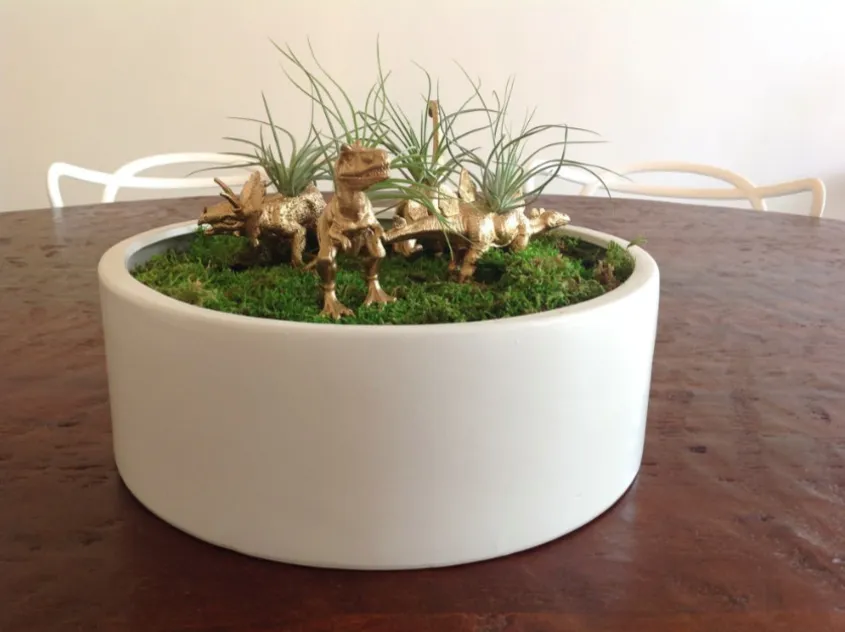 Kultaiset dinosaurukset + ilmakasvit keskipiste