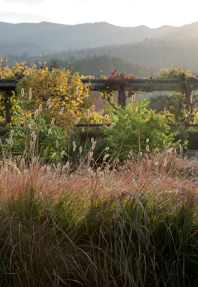 Wine Country Retreat