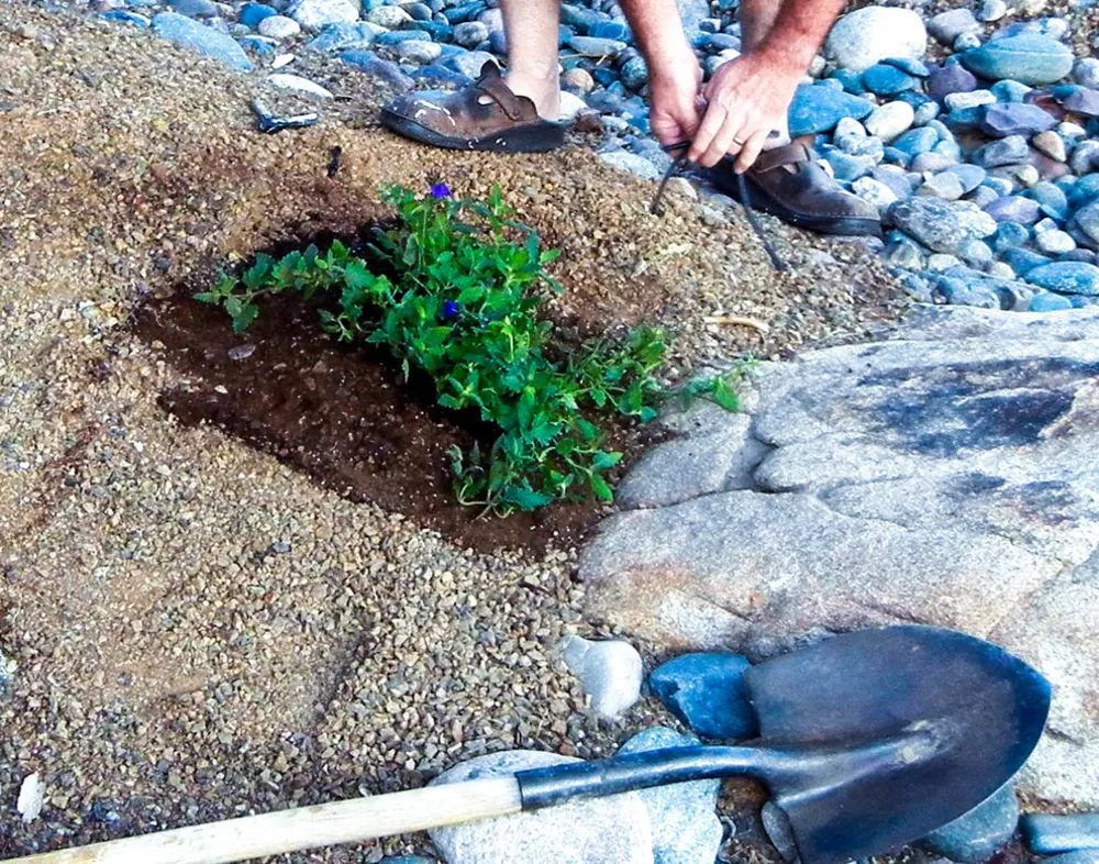 Preparati per la semina autunnale