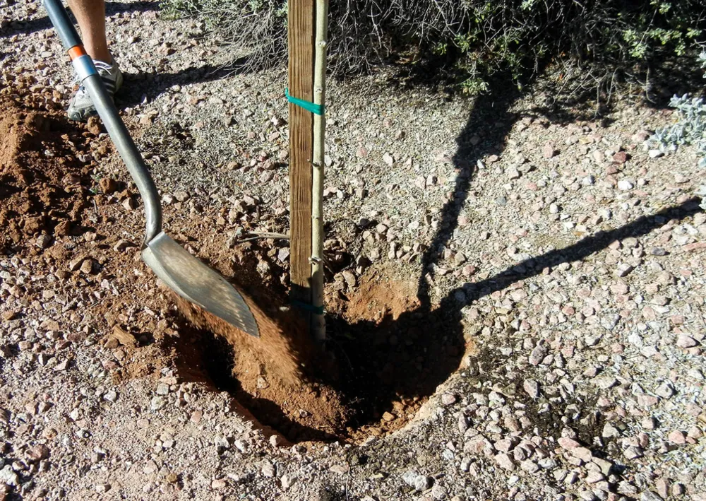 Preparati per la semina autunnale