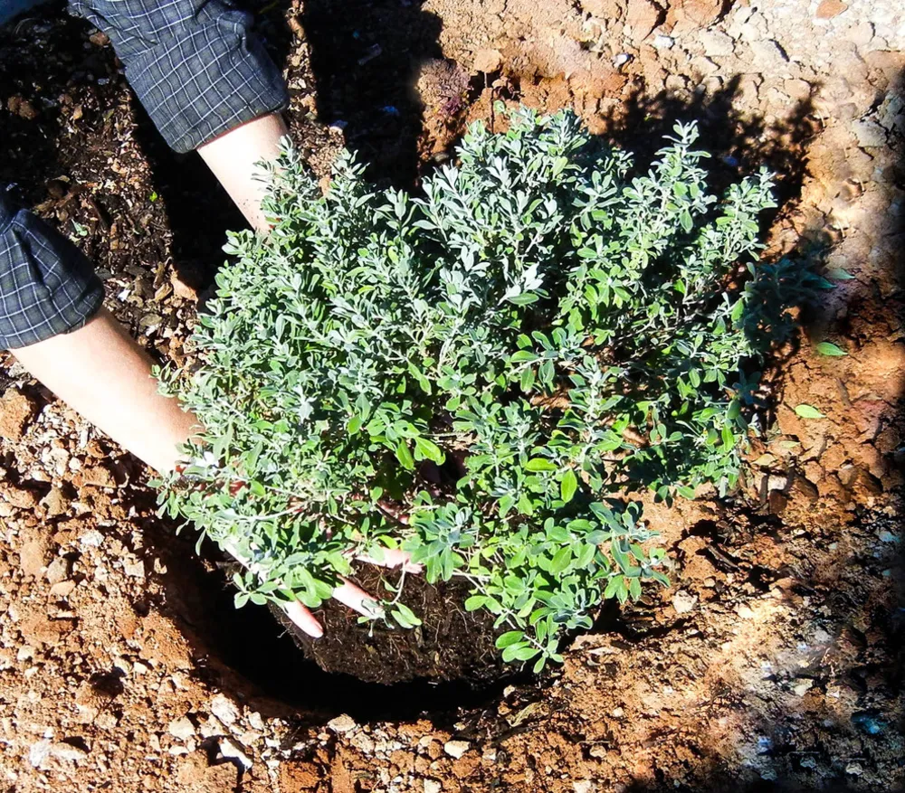 Preparati per la semina autunnale